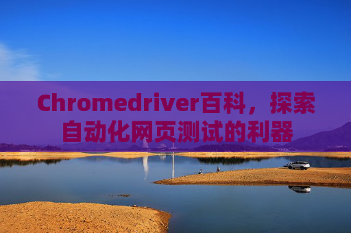 Chromedriver百科，探索自动化网页测试的利器